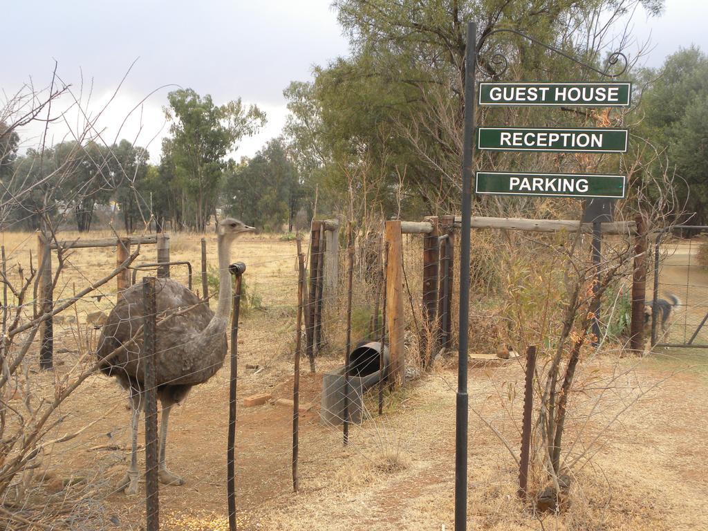 Olive Hill Country Lodge Bloemfontein Eksteriør billede