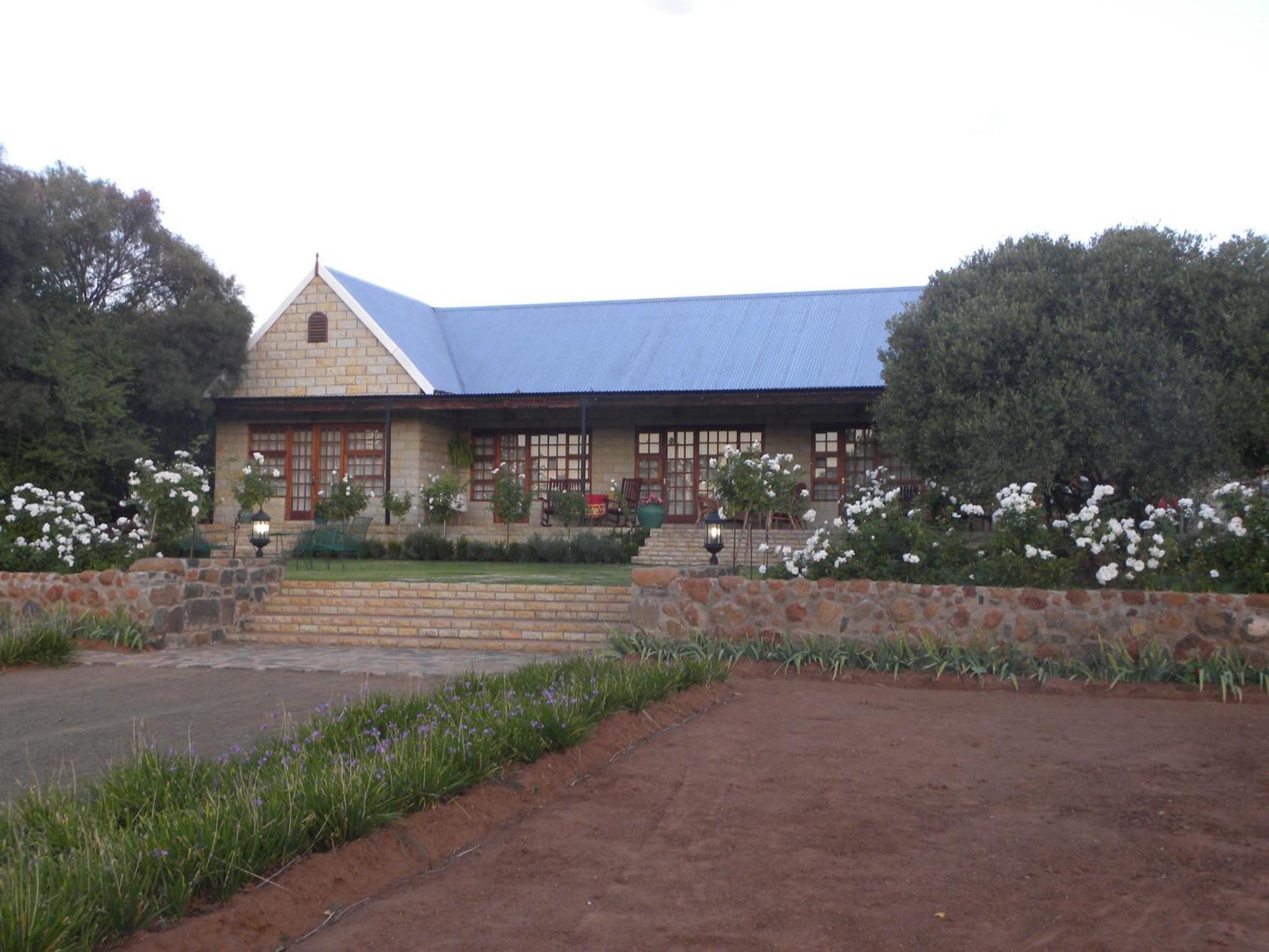 Olive Hill Country Lodge Bloemfontein Eksteriør billede